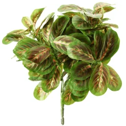 Plantas Verdes|Hojas>DecoWoerner Arbusto Marantea Artificial, 30 Cm verde