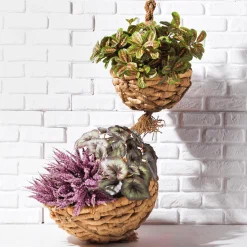 Plantas Verdes|Hojas>DecoWoerner Arbusto Marantea Artificial, 30 Cm verde