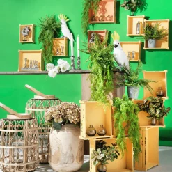 Plantas Verdes|Hojas><noscript><img width=