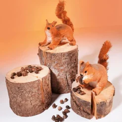 Decoración De Animales|Decoración De Otoño><noscript><img width=