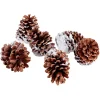 Decoración Dispersa|Decoración Natural>DecoWoerner Artículo Para Dispersar Piñas De Pino, 6 Piezas