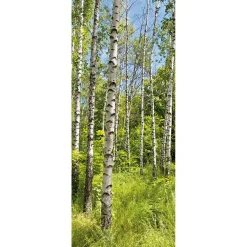 Pancartas De Primavera|Decoración De Primavera>DecoWoerner Bandera De Tela Ignífuga "Bosque De Abedules En Primavera" 75 X 180 Cm
