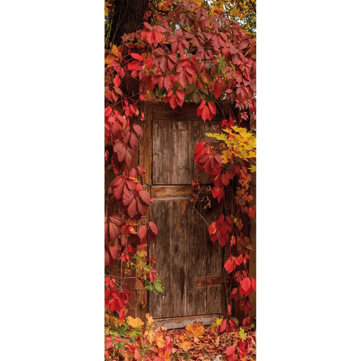 Pancartas De Otoño>DecoWoerner Bandera De Tela Ignífuga "Hojas De Otoño" 100 X 200 Cm rojo