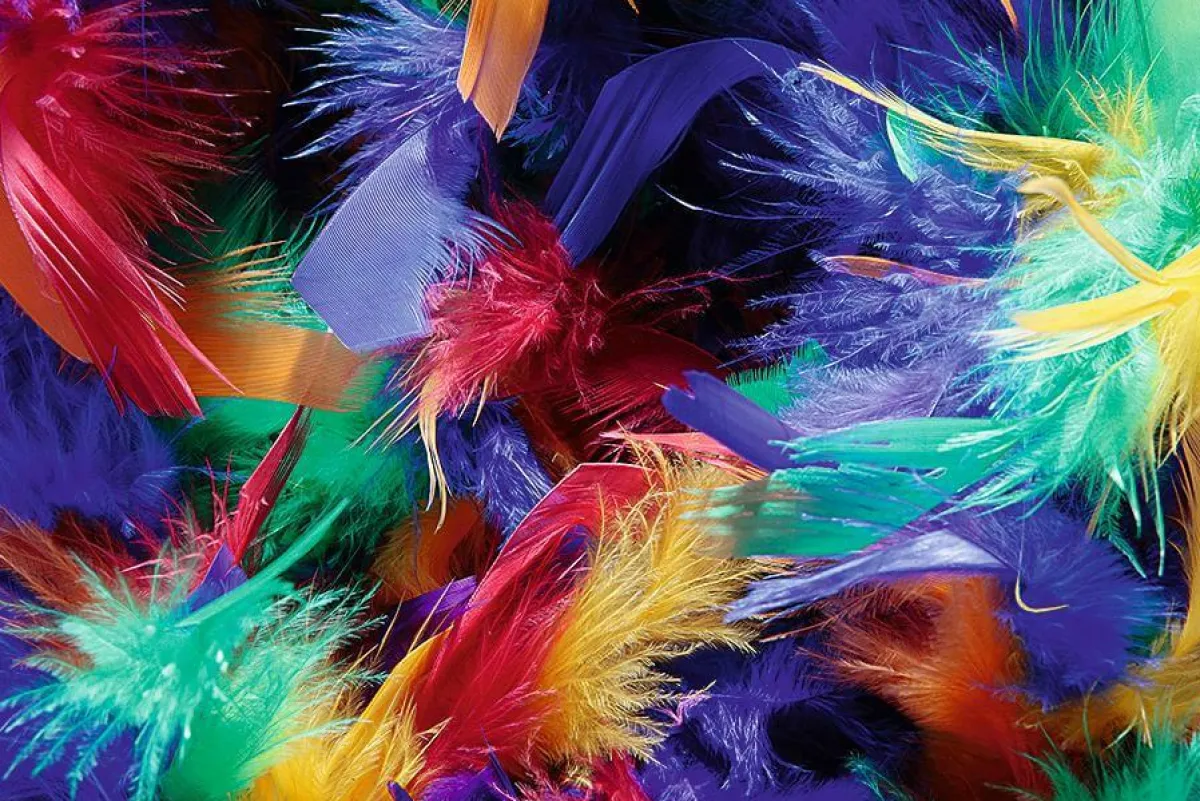 Decoración Temática>DecoWoerner Boa De Plumas, Colorida, 180 Cm multicolor
