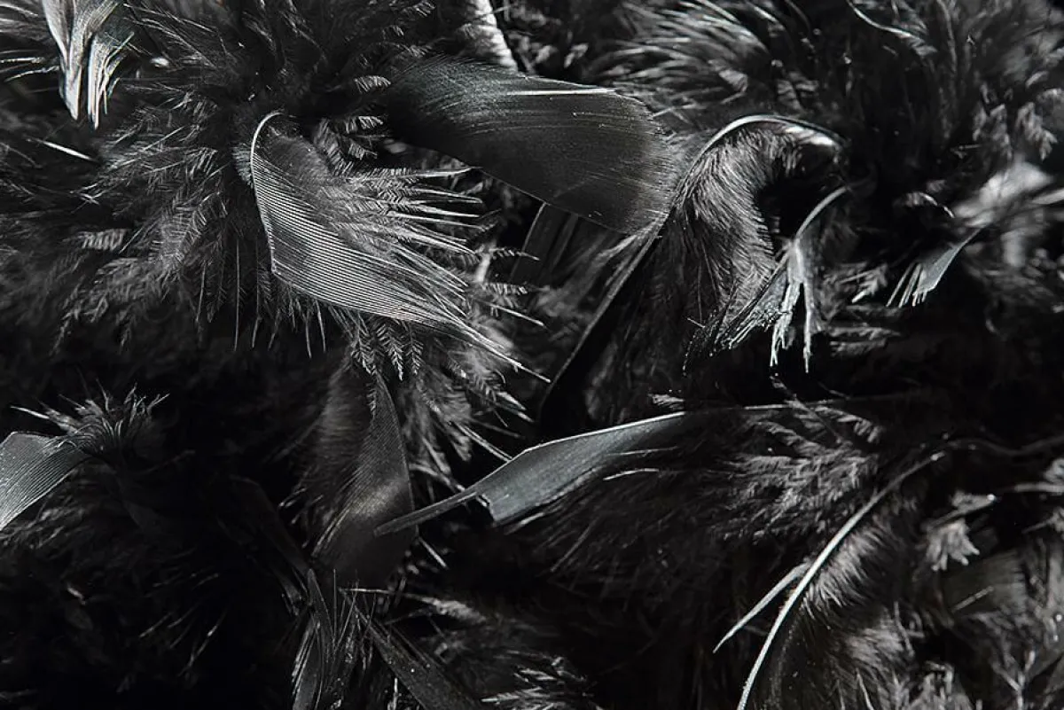 Decoración Temática>DecoWoerner Boa De Plumas, Negra, 180 Cm negro