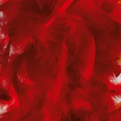 Decoración Temática>DecoWoerner Boa De Plumas, Roja, 180 Cm rojo