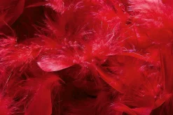 Decoración Temática><noscript><img width=