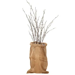 Decoración De Otoño><noscript><img width=