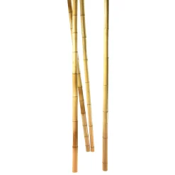 Decoración Natural|Decoración Temática>DecoWoerner Cañas De Bambú Natural, 3 Piezas Beige
