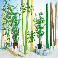 Decoración Natural|Decoración Temática><noscript><img width=