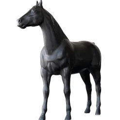 Decoración De Animales><noscript><img width=