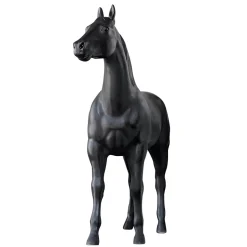 Decoración De Animales><noscript><img width=