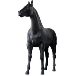 Decoración De Animales><noscript><img width=