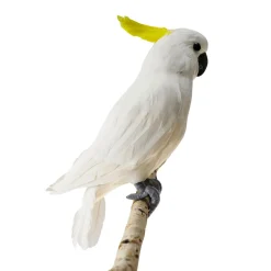 Decoración De Animales|Decoración De Verano>DecoWoerner Cacatúa Decorativa Sentada Blanca-amarilla, 40 Cm blanco