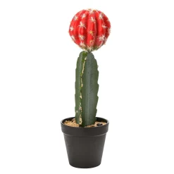 Plantas De Interior>DecoWoerner Cactus Artificial De Fresa En Maceta 35 Cm rojo