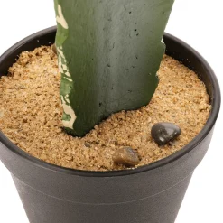 Plantas De Interior><noscript><img width=