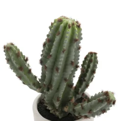 Plantas De Interior>DecoWoerner Cactus Artificial Decorativo De 24 Cm En Moldeado Por Inyección verde