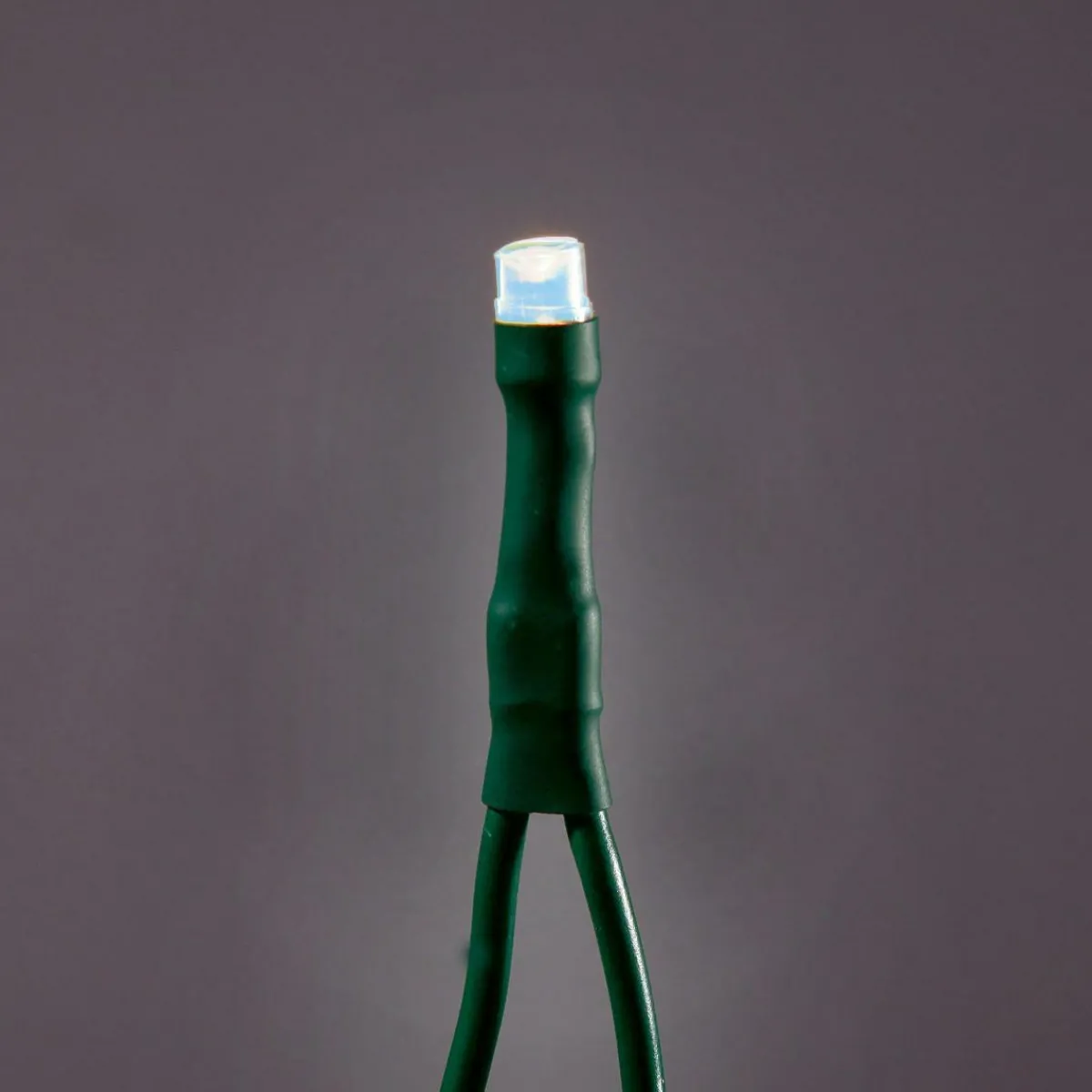 Luces De Navidad>DecoWoerner Cadena Portacables LED Para Interiores, 24 M Sin Cable De Alimentación, Verde