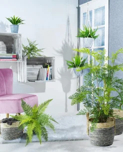 Decoración Natural|Decoración Temática><noscript><img width=