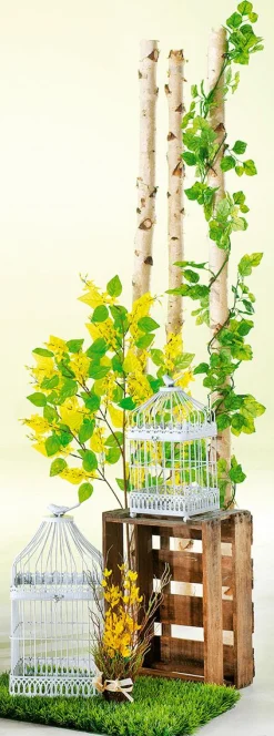 Decoración Natural|Decoración Temática><noscript><img width=