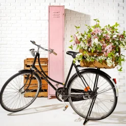Decoración Natural|Decoración Temática><noscript><img width=