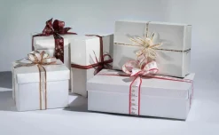 Cajas De Regalo>DecoWoerner Cajas De Regalo 38 X 26 X 10 Cm, Marfil 10 Unidades blanco
