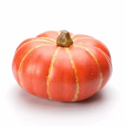 Decoración De Otoño|Verduras Y Hierbas>DecoWoerner Calabaza Decorativa "plana", 24 Cm naranja