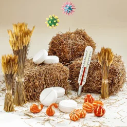 Decoración De Otoño|Verduras Y Hierbas><noscript><img width=