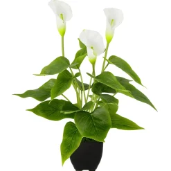 Plantas De Interior|Flores Artificiales>DecoWoerner Calla Planta Artificial Blanca 40 Cm En Maceta blanco