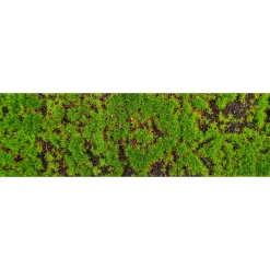 Decoración Natural|Decoración De Otoño>DecoWoerner Camino De Mesa "Alfombra De Musgo" 1 Metro verde