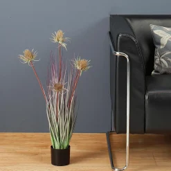 Hierba Decorativa><noscript><img width=
