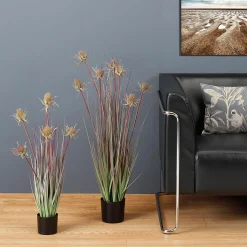 Hierba Decorativa><noscript><img width=