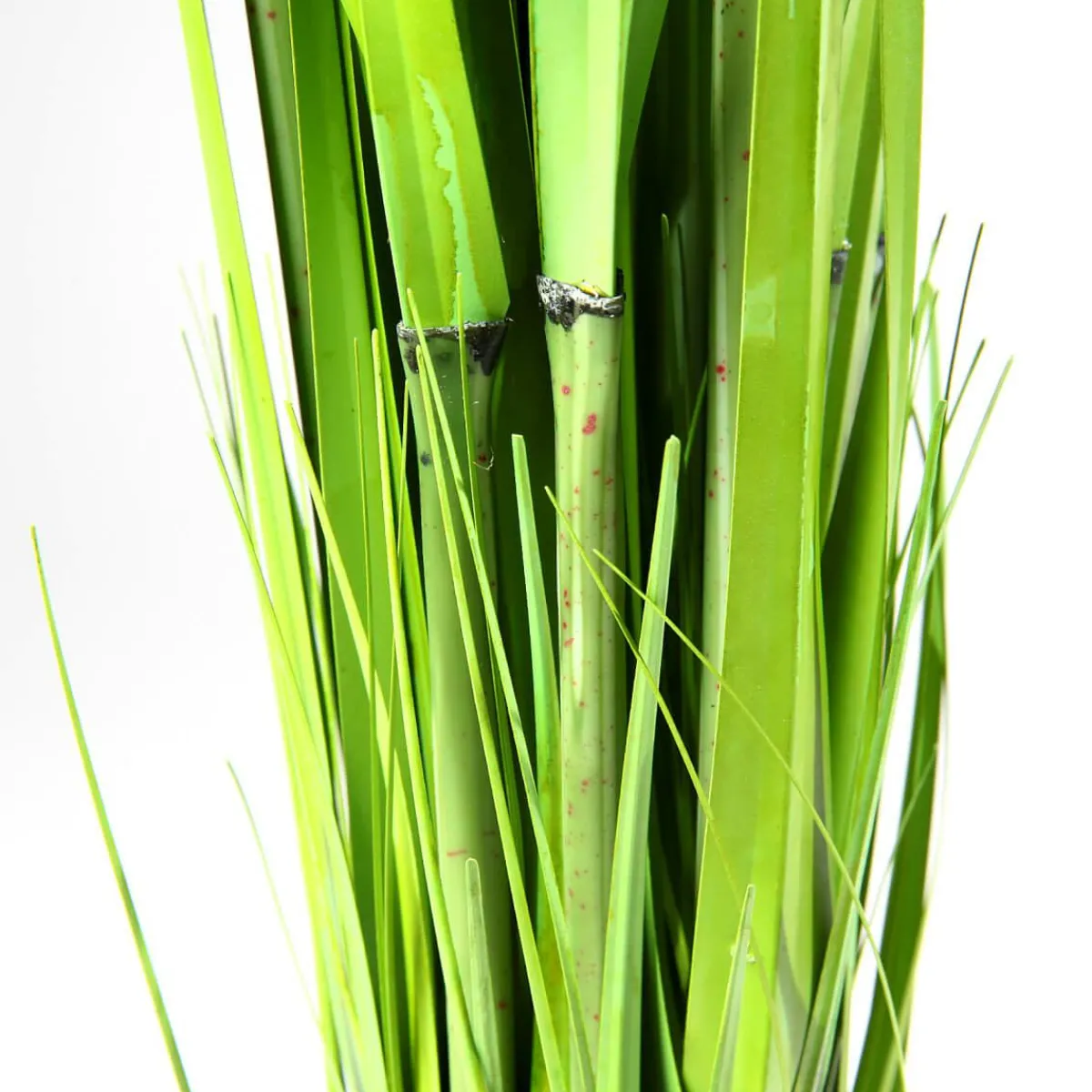 Decoración De Primavera|Hierba Decorativa>DecoWoerner Carrizo Decorativo 90 Cm verde