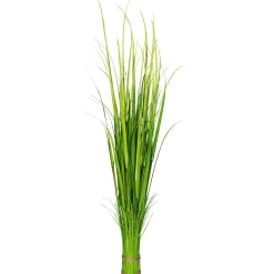 Decoración De Primavera|Hierba Decorativa>DecoWoerner Carrizo Decorativo, 150 Cm verde