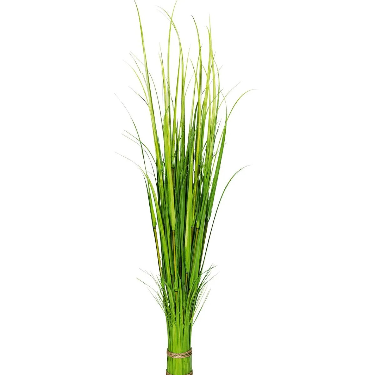 Decoración De Primavera|Hierba Decorativa>DecoWoerner Carrizo Decorativo, 150 Cm verde
