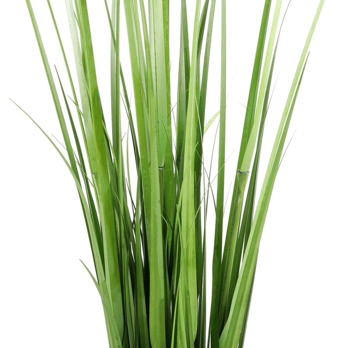 Decoración De Primavera|Hierba Decorativa>DecoWoerner Carrizo Decorativo, 150 Cm verde