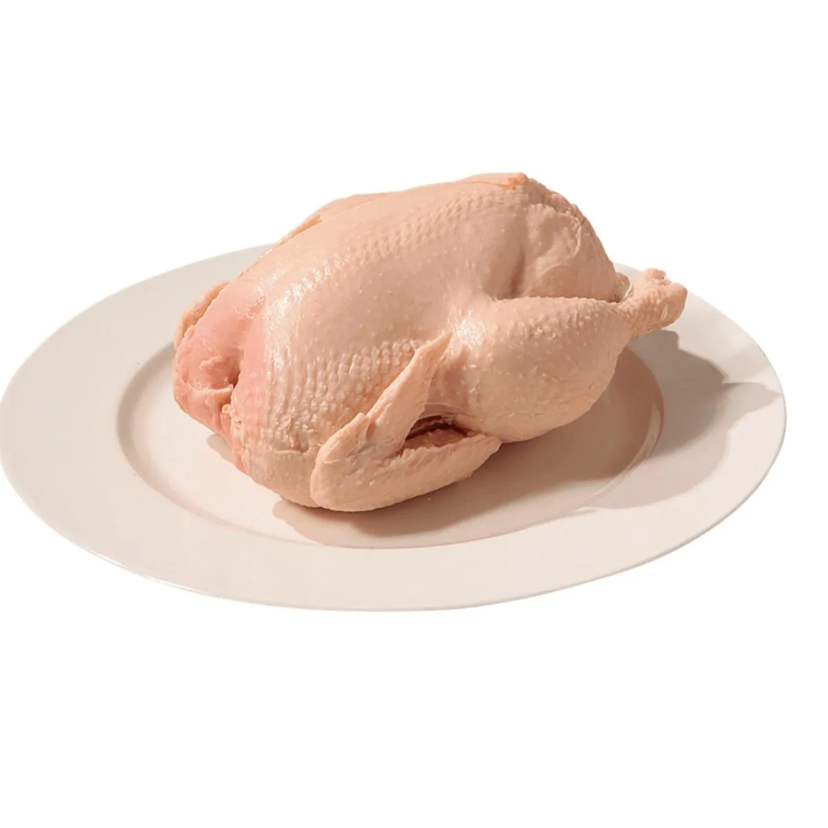 Carnes Y Embutidos>DecoWoerner Chupete De Pollo Crudo 23 Cm rosa
