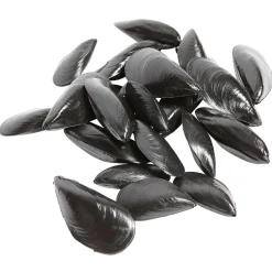 Pescados Y Mariscos>DecoWoerner Chupetes De Mejillones, Pack De 24 Uds. negro