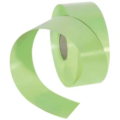 Cintas De Regalo>DecoWoerner Cinta De Poliéster, Anchura 50 Mm, Color Claro verde