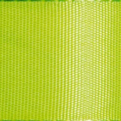 Cintas De Regalo>DecoWoerner Cinta De Tafetán Con Orillo 15 Mm, 50 M, Claro verde