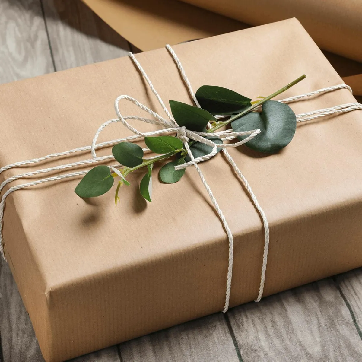 Cintas De Regalo|Go Green - Envoltorio Para Regalo Ecológico>DecoWoerner Cinta Rizadora EcCordón De Algodón Respetuoso Con El Medio Ambiente Hecho De Material Degradable 3 Mm 30 M Azul Claroológica De Material Degradable 10 Mm 100 M De Crema blanco
