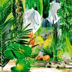 Decoración De Animales><noscript><img width=