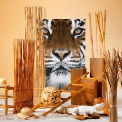 Decoración De Animales><noscript><img width=
