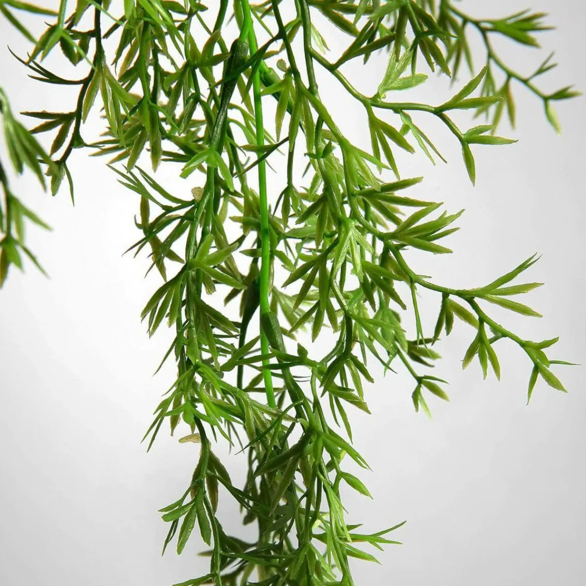 Plantas Verdes|Plantas Colgantes>DecoWoerner Colgador De Plantas Artificiales Espárragos Ornamentales, Claro 84 Cm verde