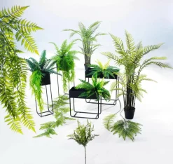 Plantas Verdes|Plantas Colgantes><noscript><img width=