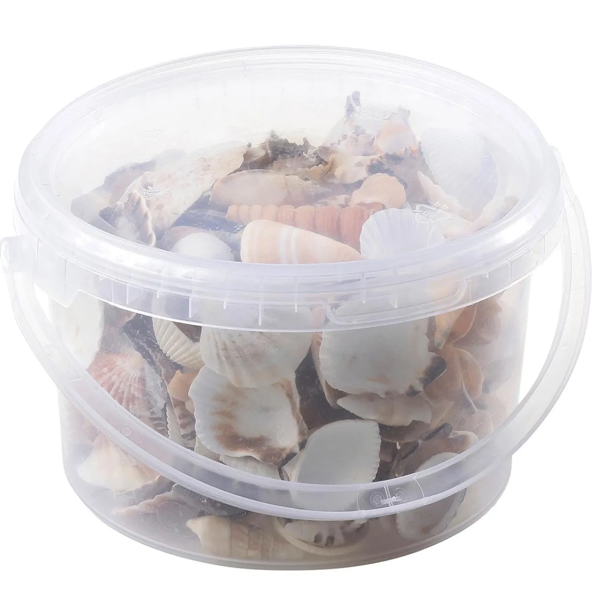 Decoración Dispersa|Decoración De Verano>DecoWoerner Conchas Y Caracoles Decorativos, 1400 G multicolor