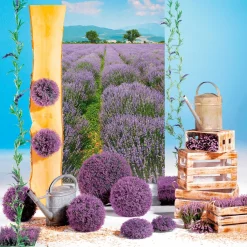 Expositores Para Tiendas|Decoración Natural><noscript><img width=