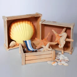 Expositores Para Tiendas|Macetas Y Artículos De Decoración><noscript><img width=