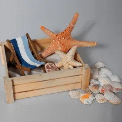 Expositores Para Tiendas|Macetas Y Artículos De Decoración><noscript><img width=