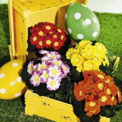 Expositores Para Tiendas|Macetas Y Artículos De Decoración><noscript><img width=